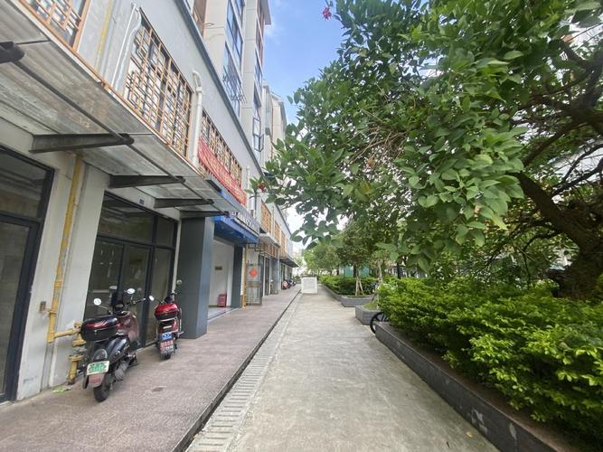 广西百亩房地产项目营销策划 破局区域市场的系统策略